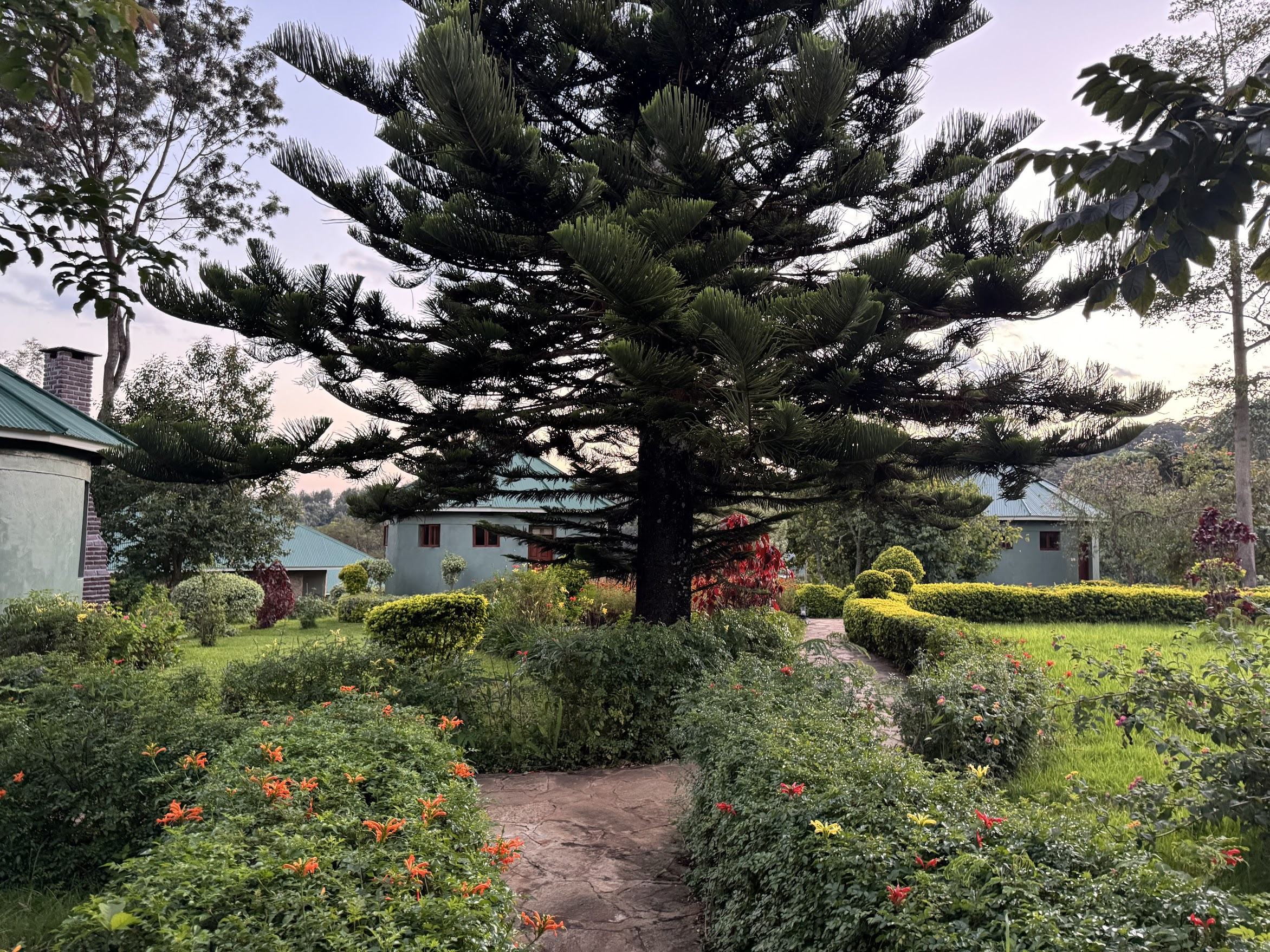 Community Development